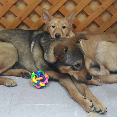 Hug B