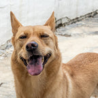 Hug B