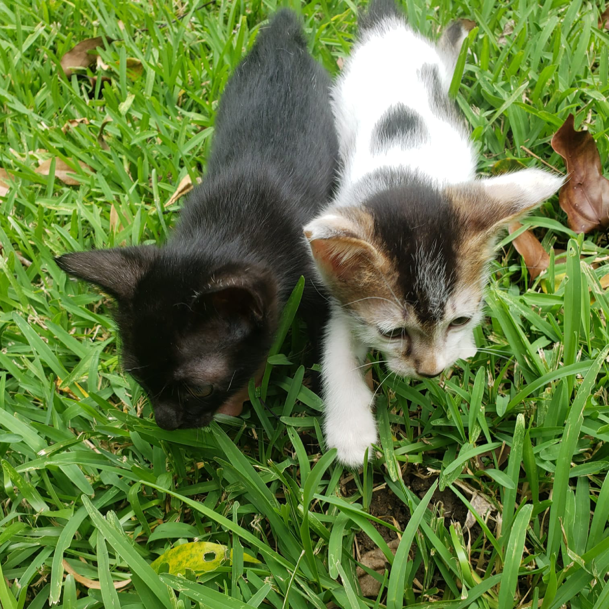 WENDY & WALLY