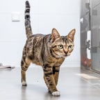 On On