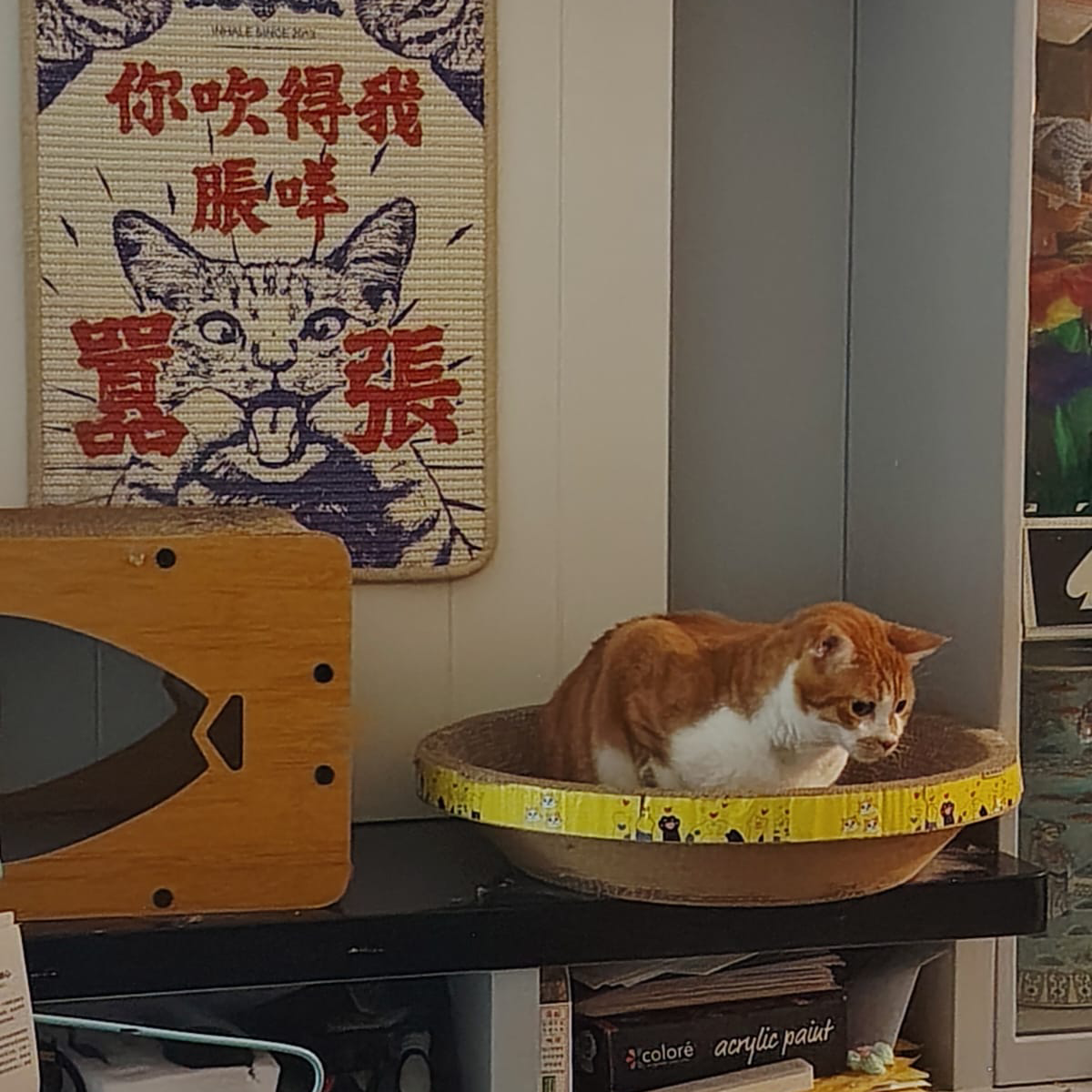 LEO