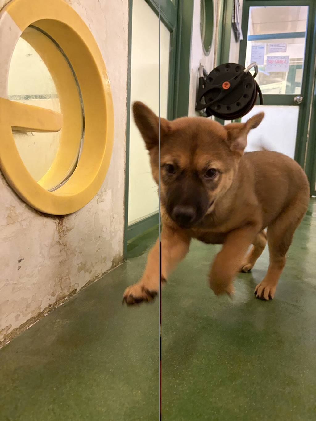 Parma
