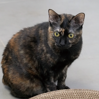 Millie