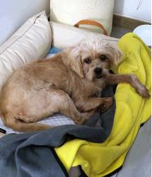 Tonga