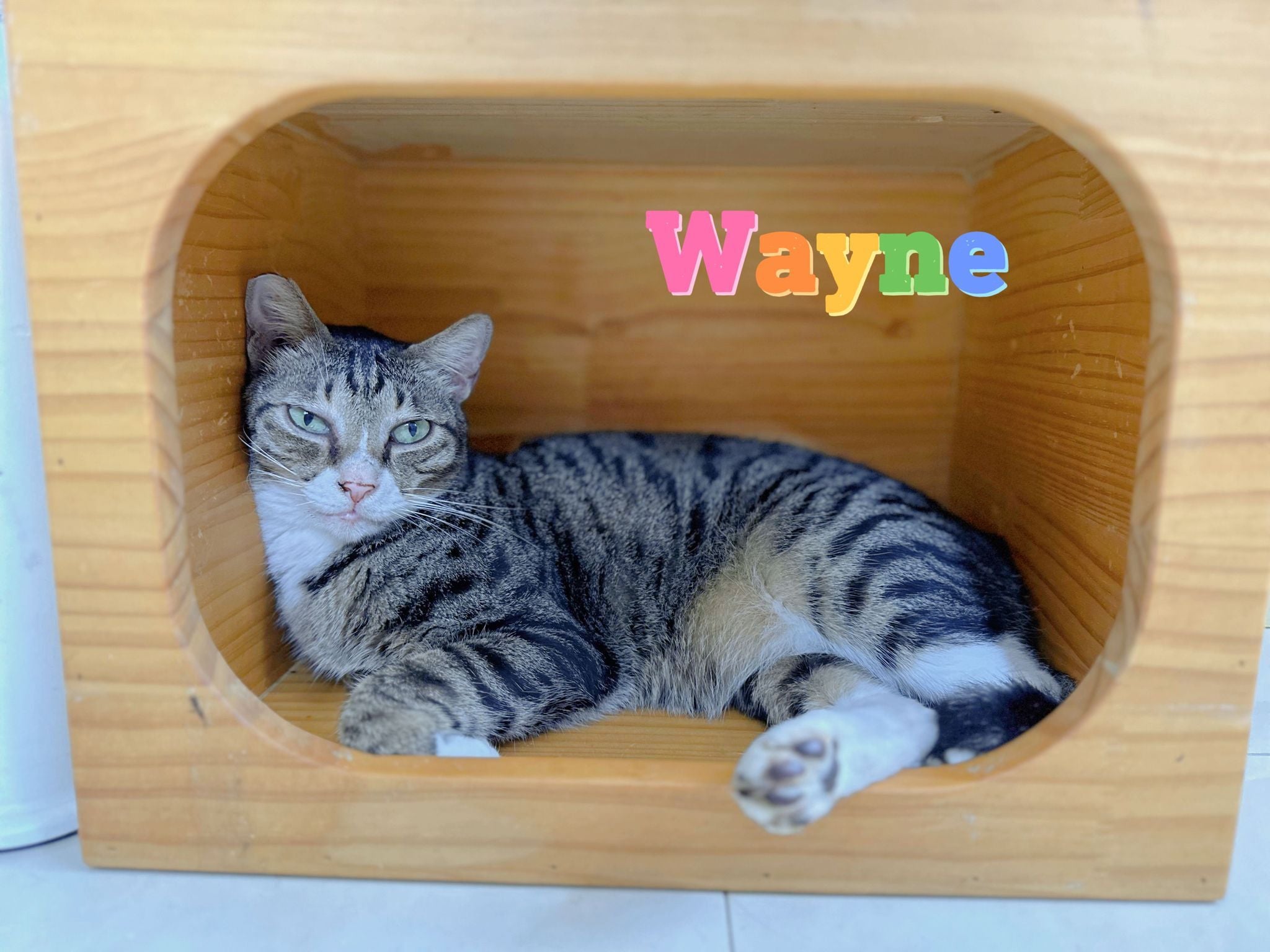 Wayne