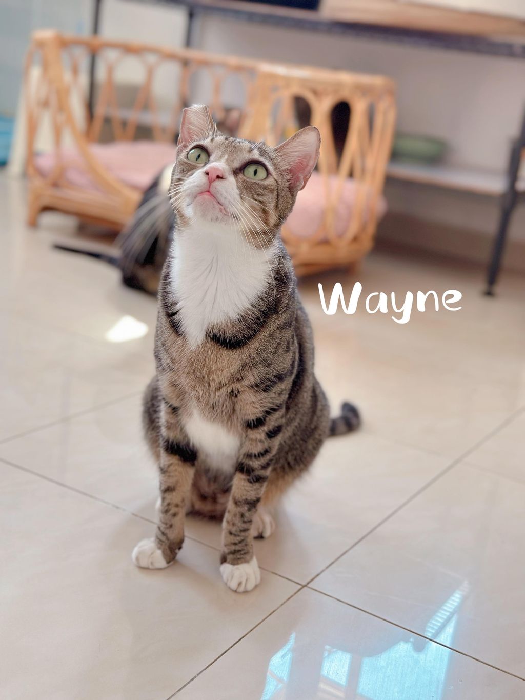 Wayne