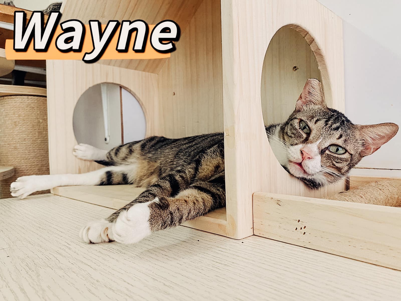 Wayne