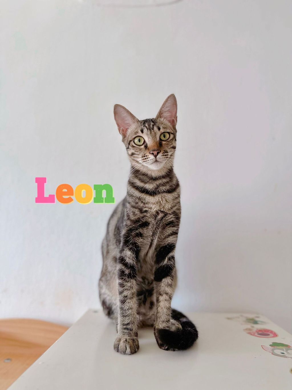 Leon