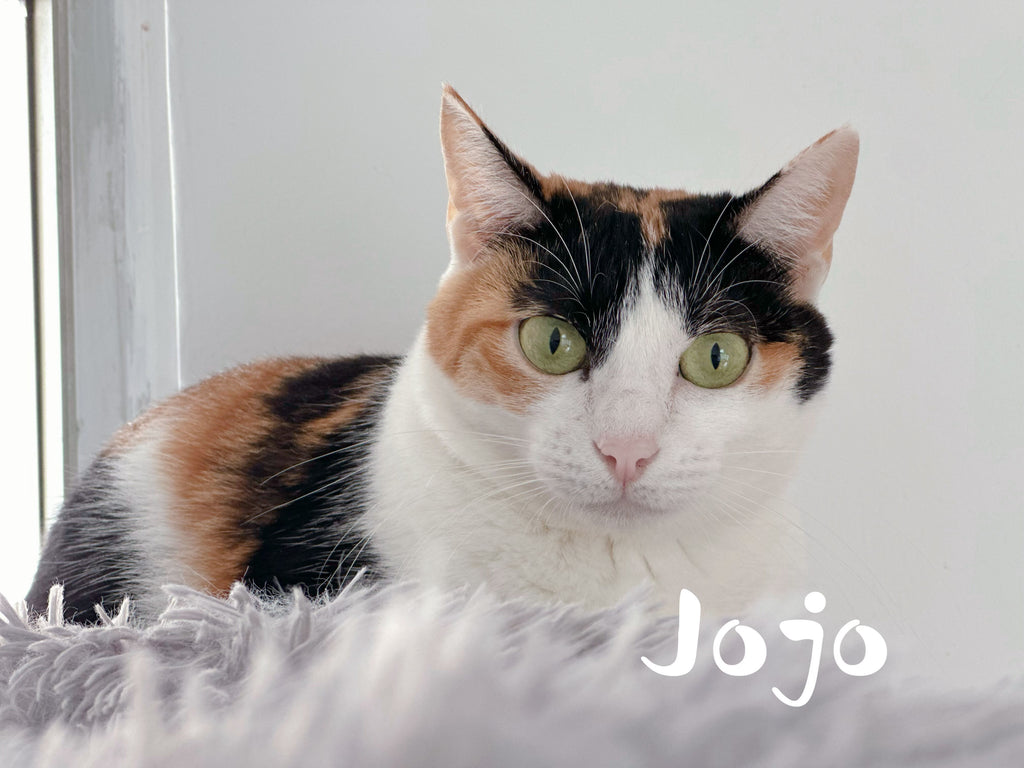 Jojo