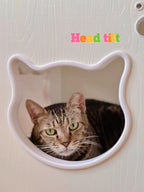 Headtilt