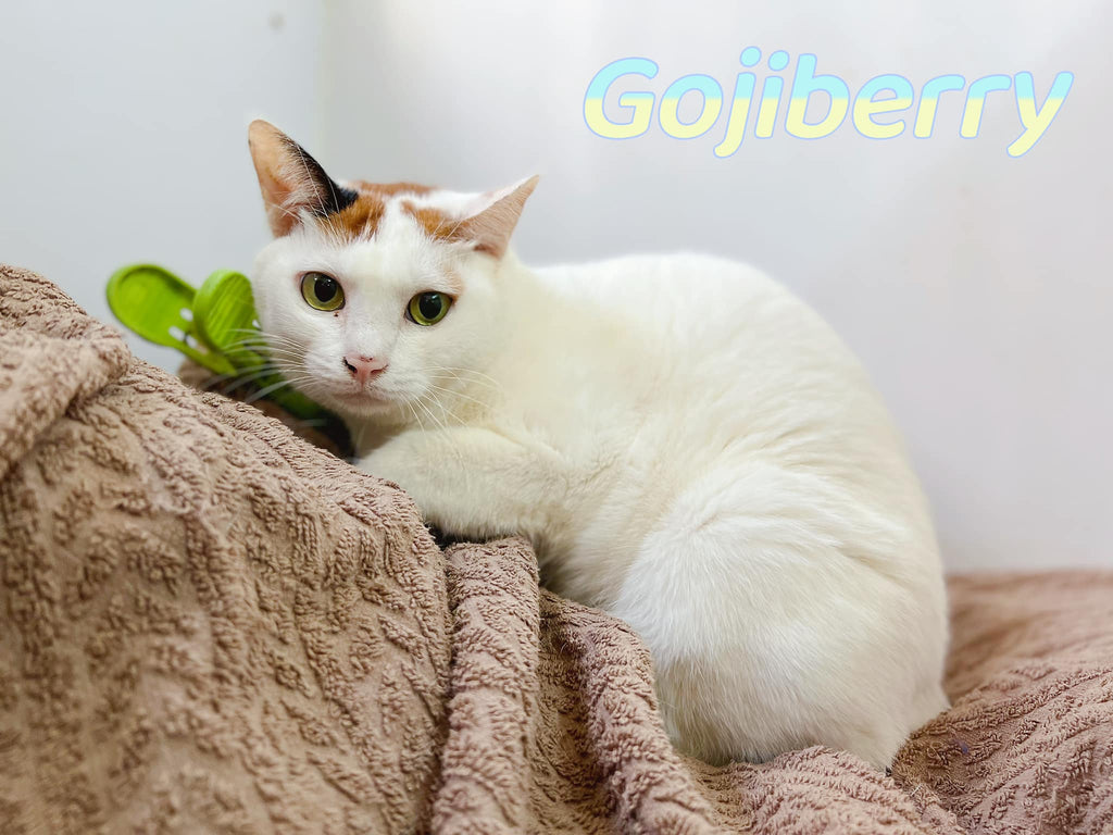 Gojiberry