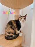 Gillian