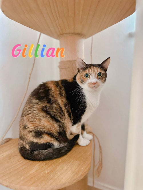Gillian