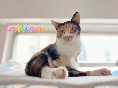 Gillian
