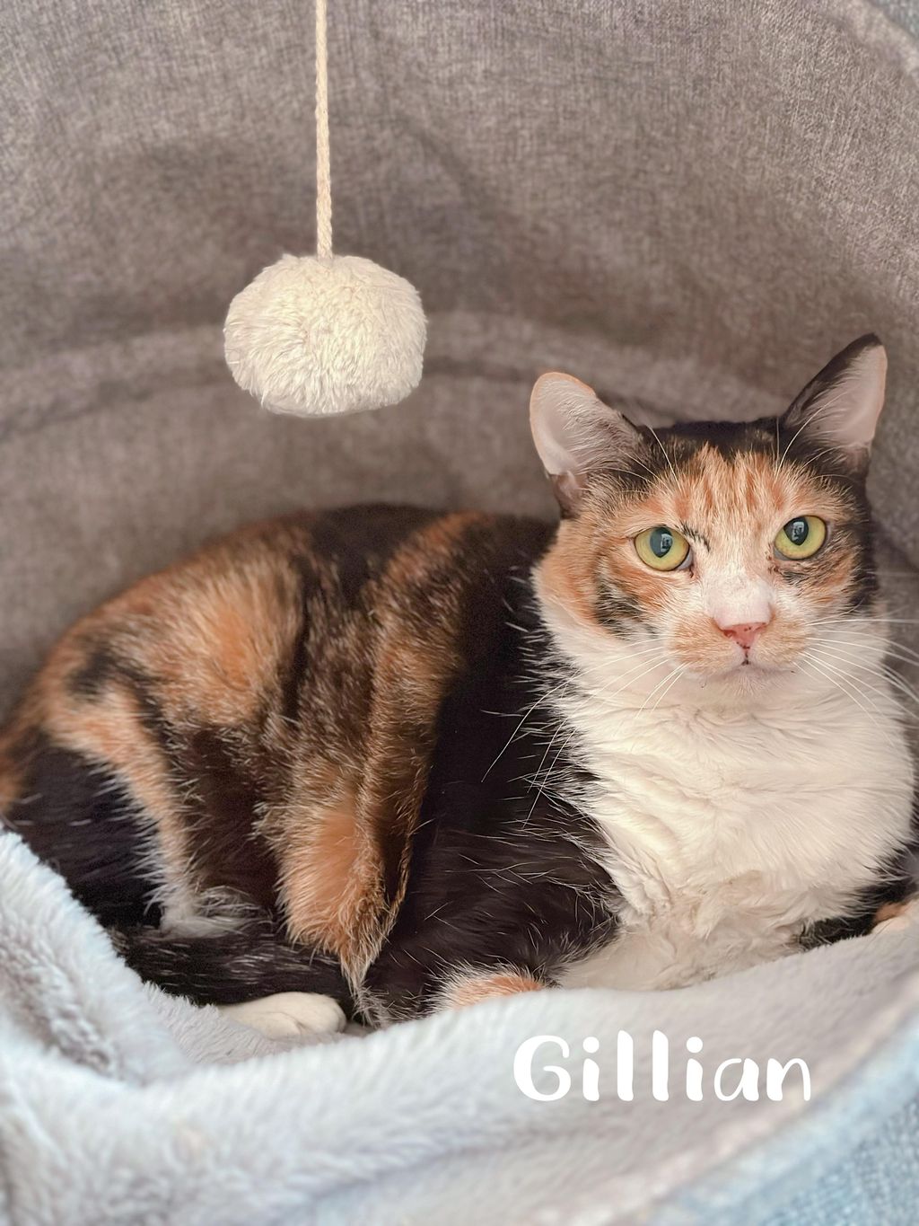 Gillian