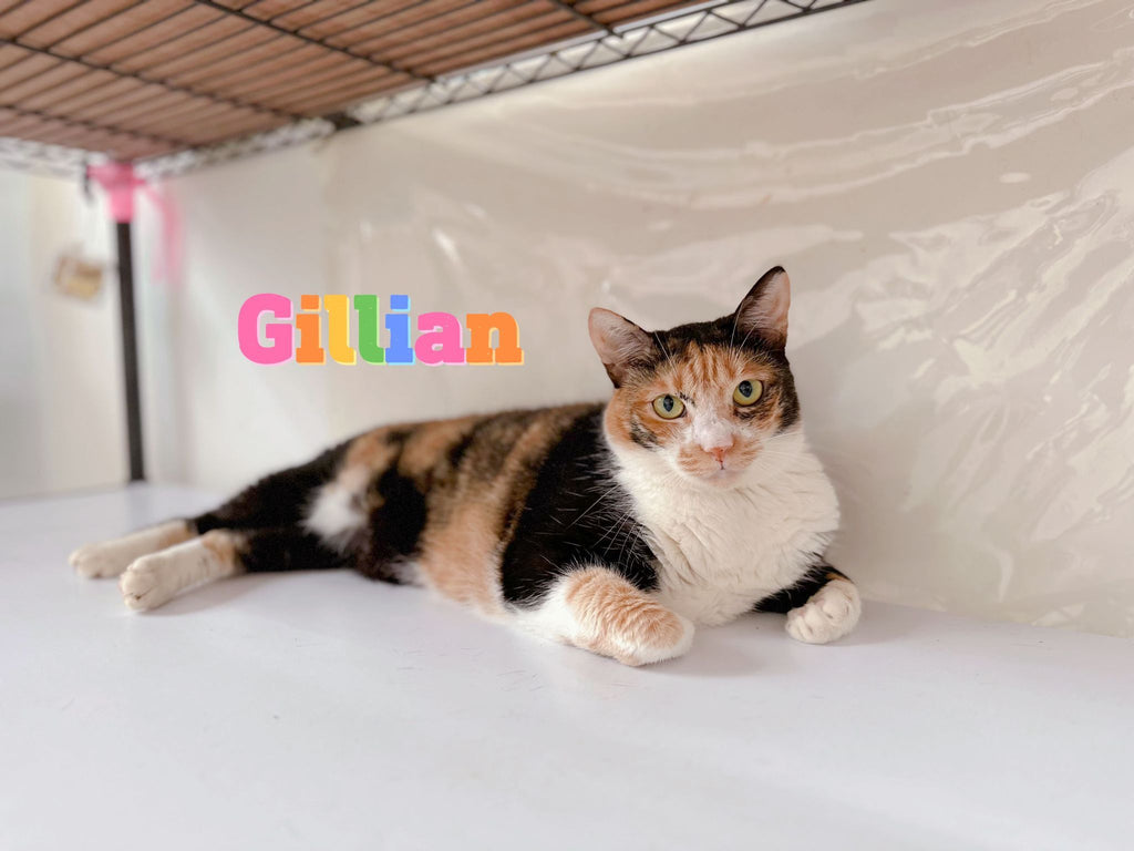Gillian