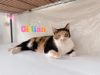Gillian