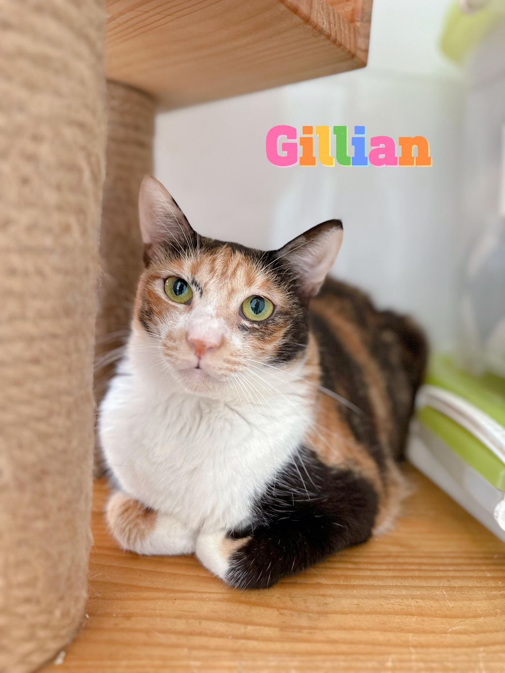 Gillian