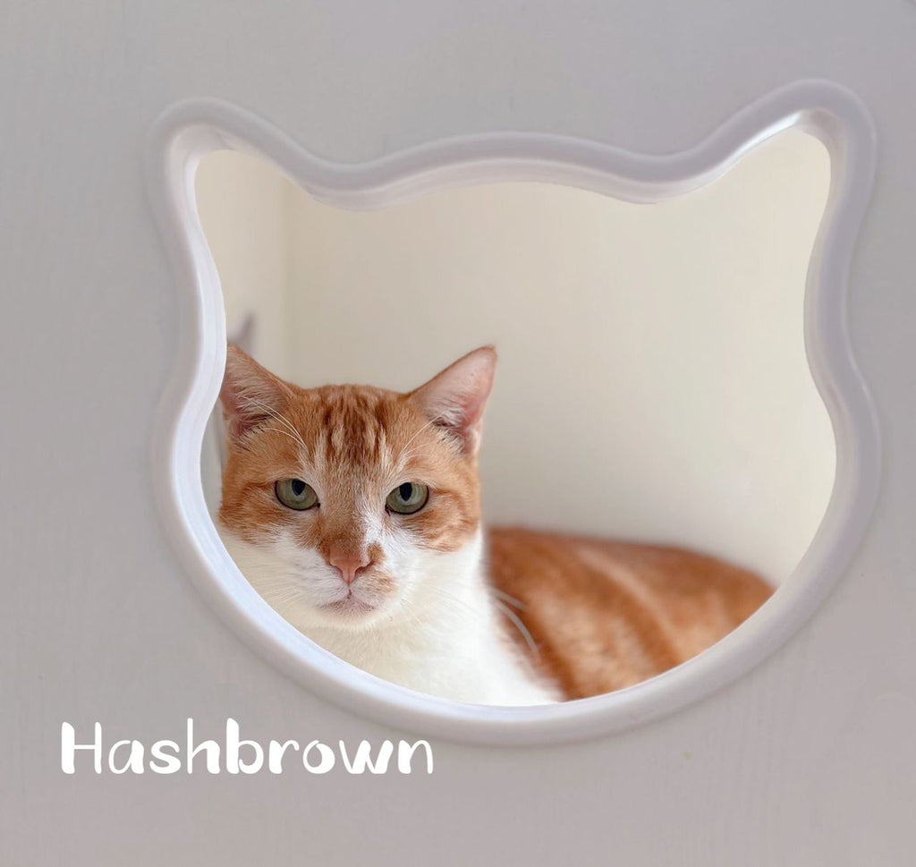 Hashbrown