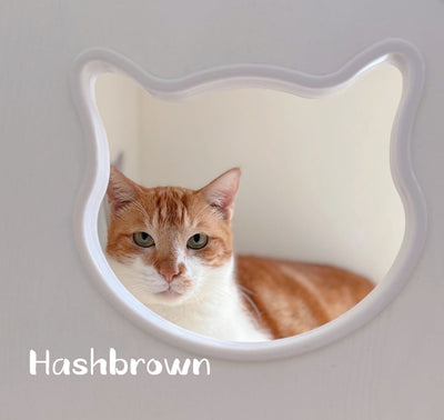 Hashbrown