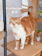 Hashbrown
