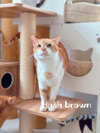 Hashbrown