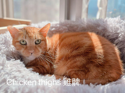 Chicken Thighs