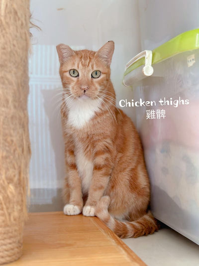 Chicken Thighs
