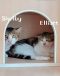 Elliot, Shelby