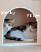 Elliot, Shelby