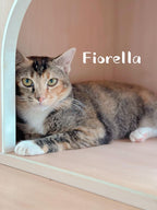 Fiorella