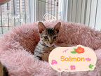 Fish Kittens