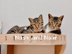 Noah, Nash, Norbert, Nadia