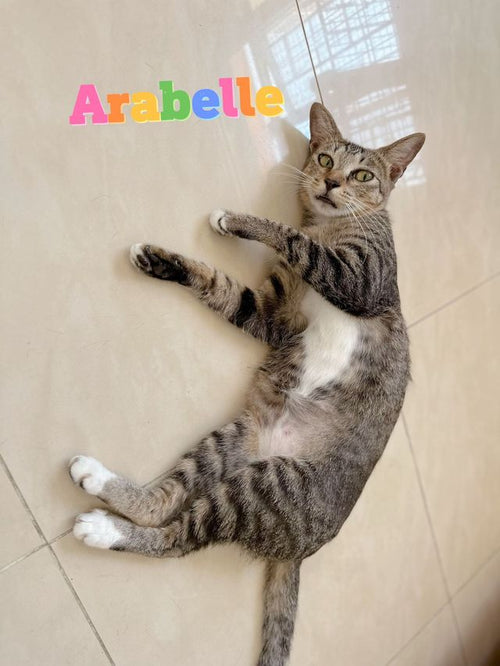 Arabelle