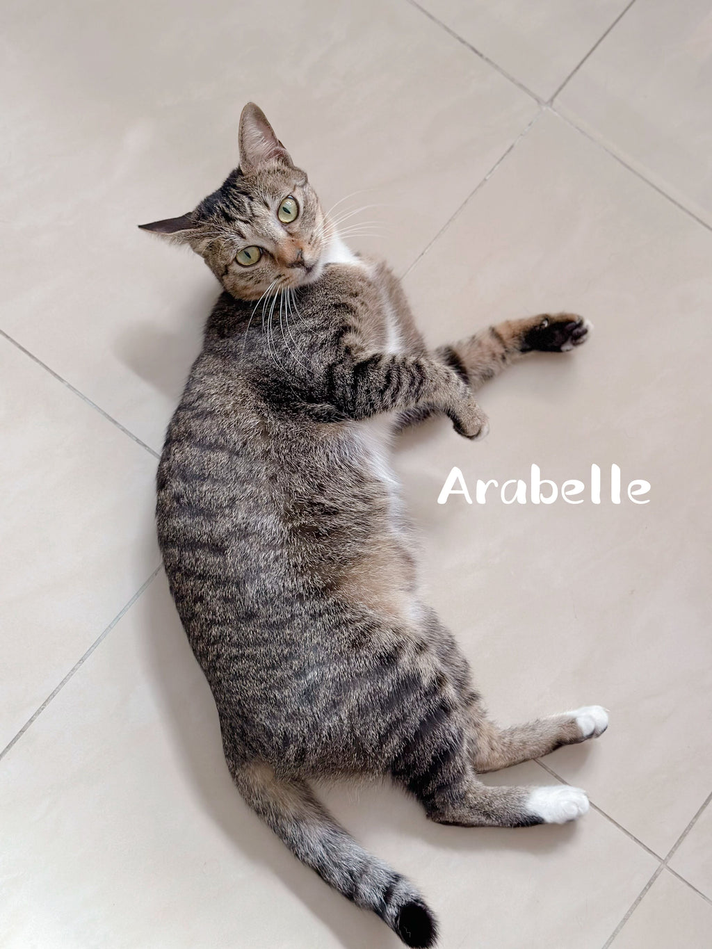 Arabelle