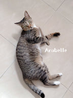 Arabelle