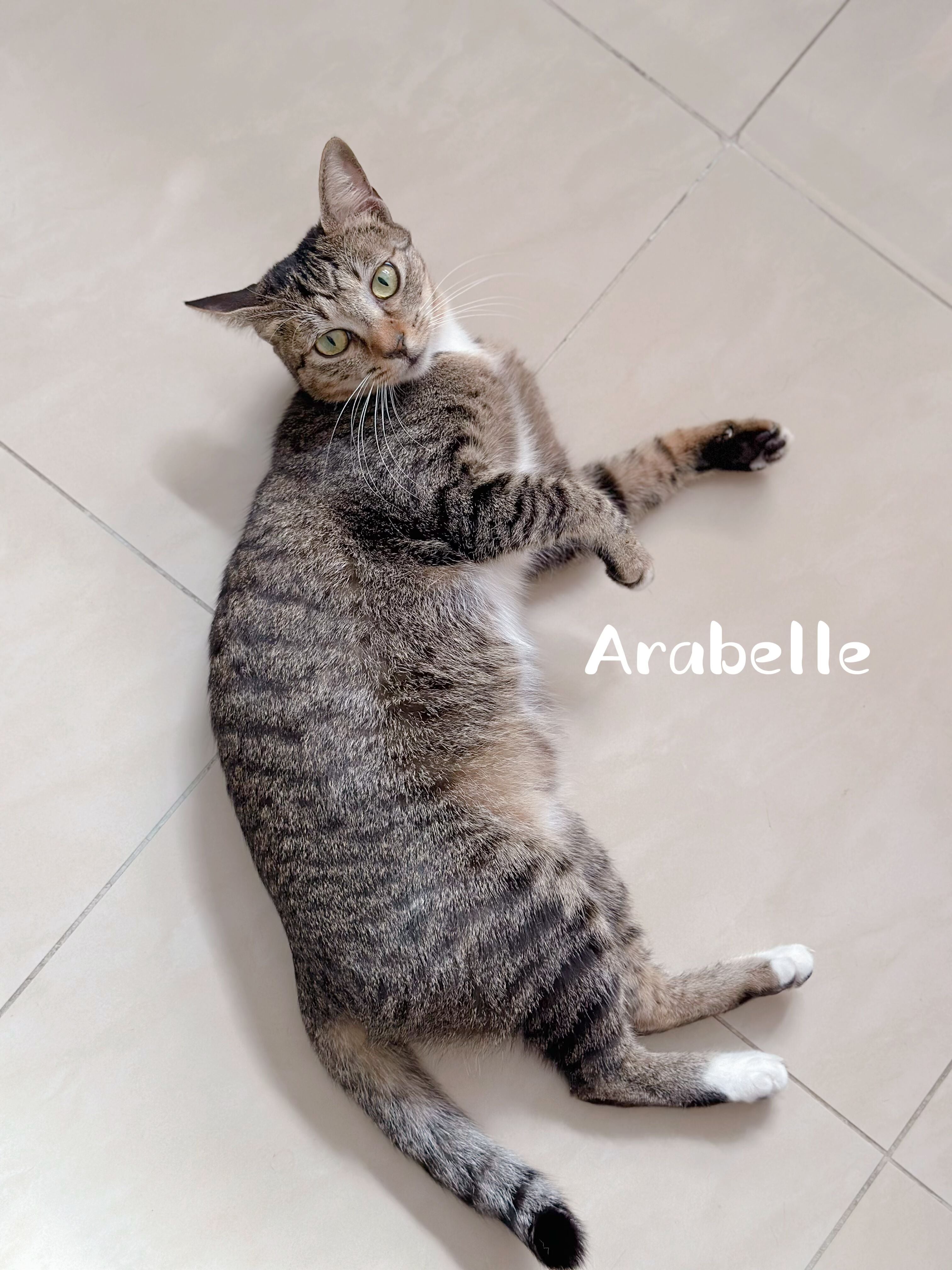 Arabelle