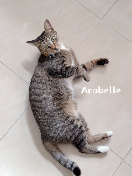 Arabelle