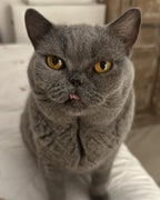 Bleue