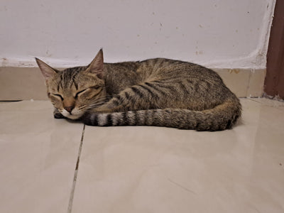 Rosita