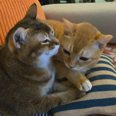 BERTHA & BIRDY