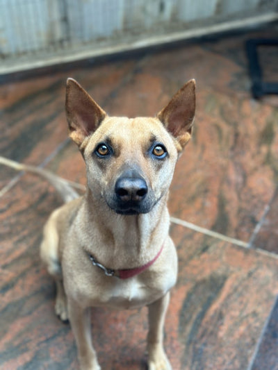 Chloe