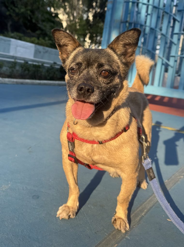 Ella
