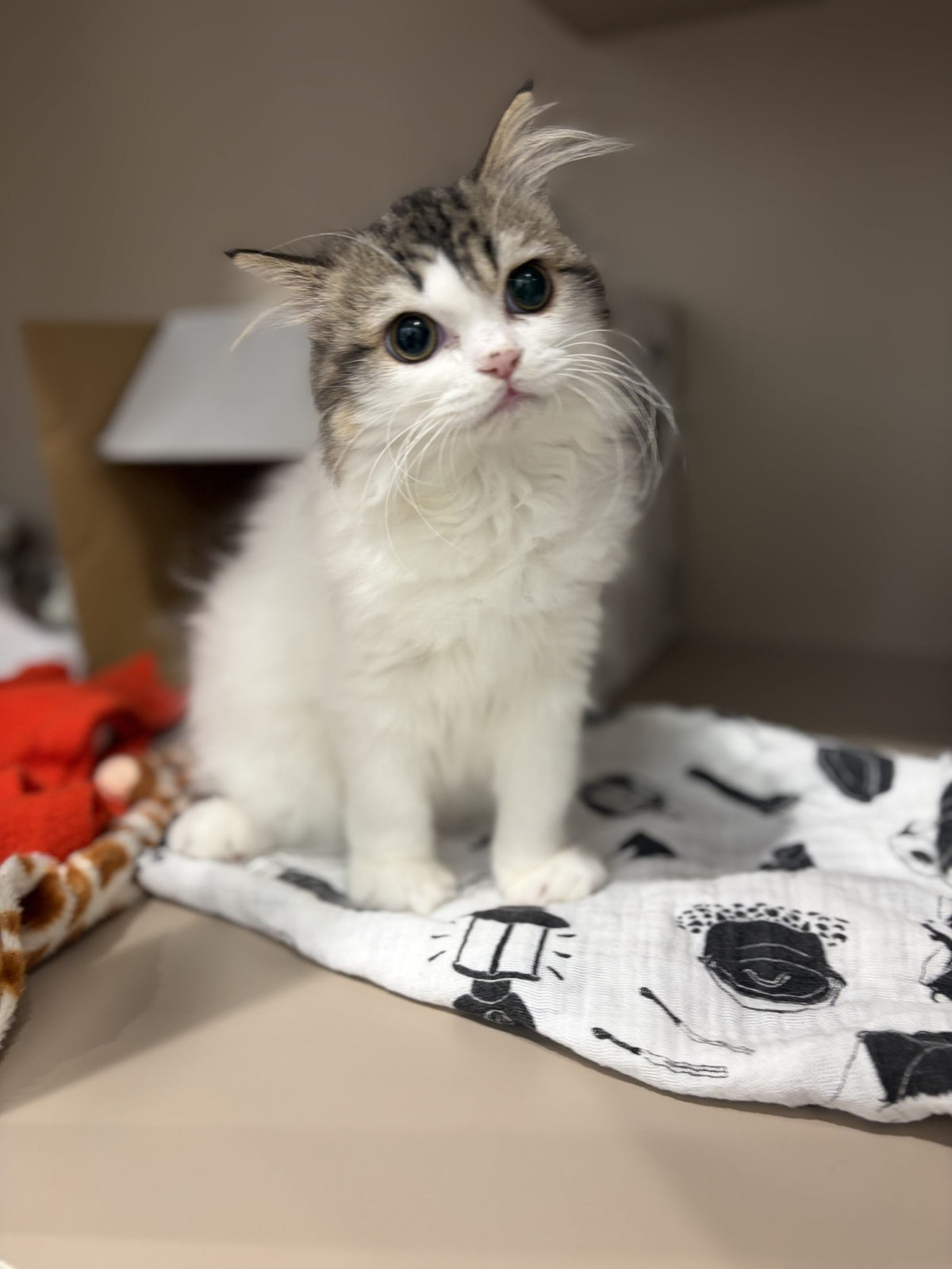 Elena