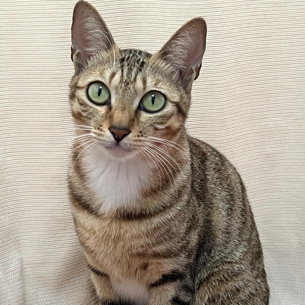LUNA
