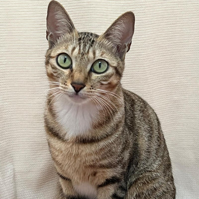 LUNA