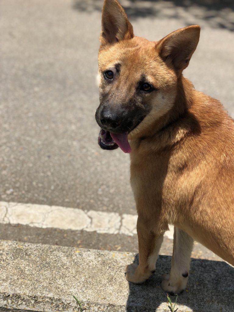 Melba