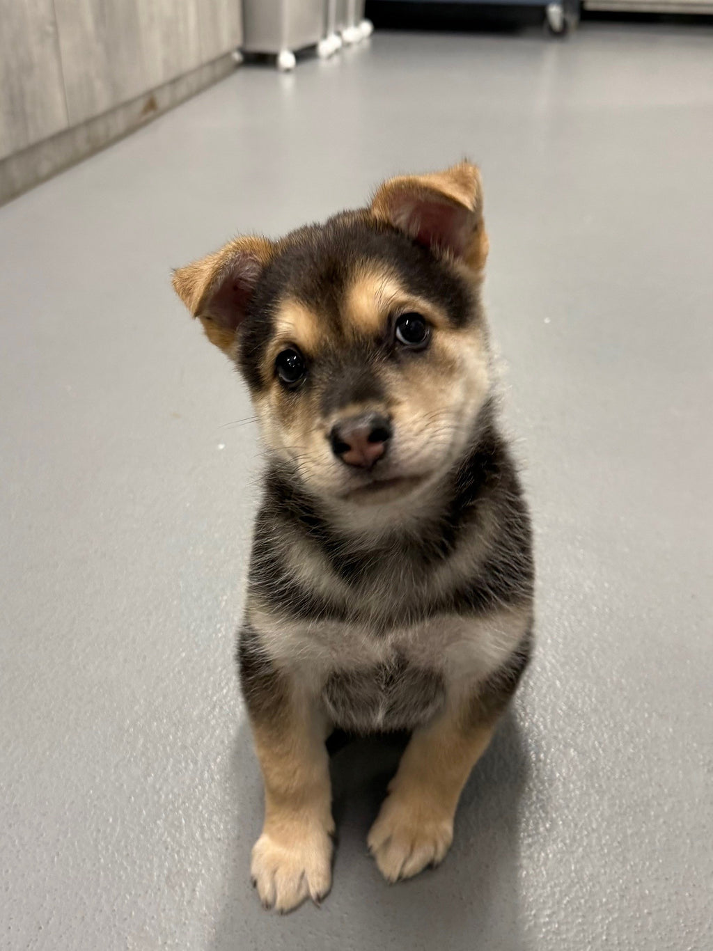 Oscar