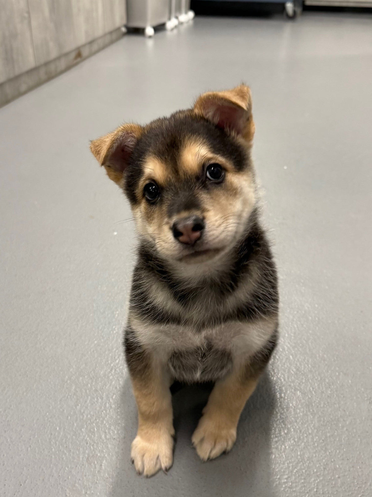 Oscar