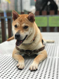 Gumbo